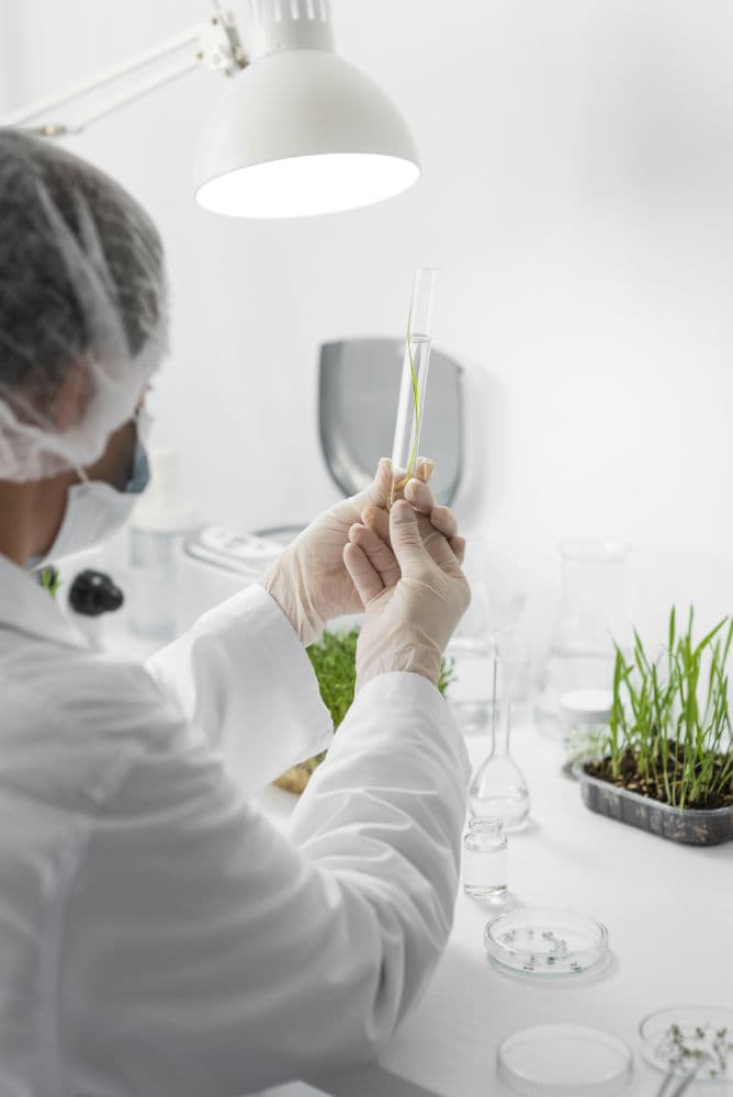 Greenhouse research and seed trials
